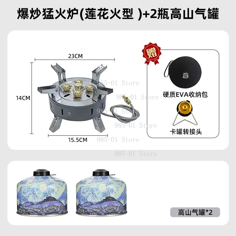 Portable Windproof Gas Stove,  - Camping Cooking Fire Stove recension och pris